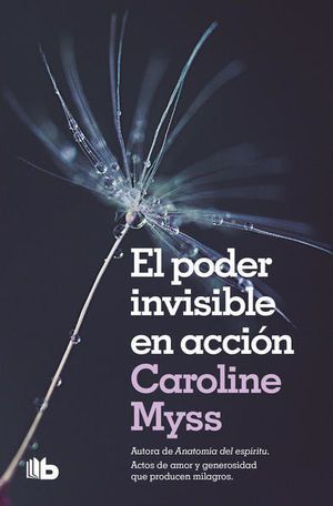 PODER INVISIBLE EN ACCION