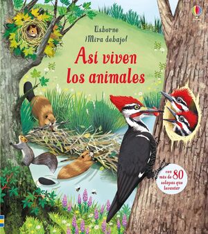 MIRA DEBAJO: ASÍ VIVEN LOS ANIMALES