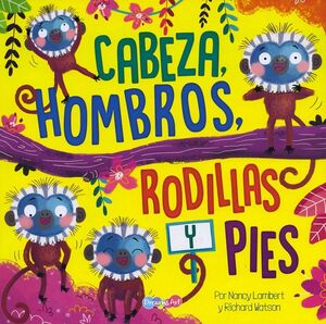 CABEZA, HOMBROS, RODILLAS Y PIES BBTPT8917