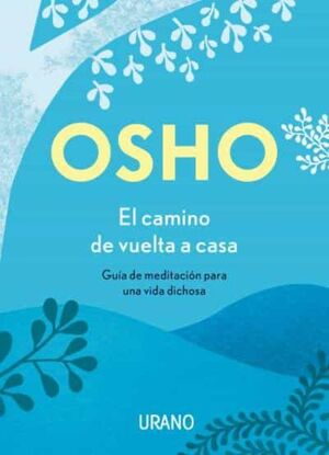 CAMINO DE VUELTA A CASA