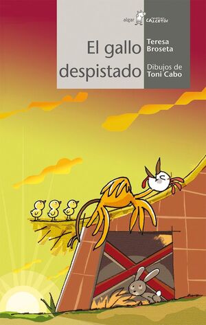 CALCETIN BLANCO. EL GALLO DESPISTADO